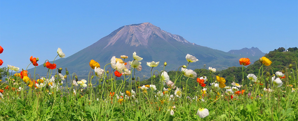 風景